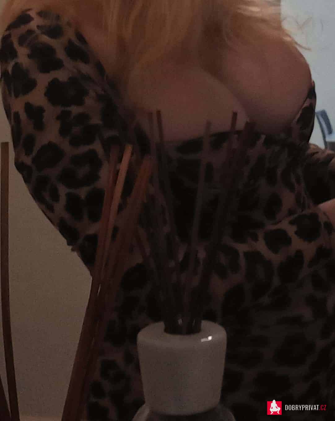 Míša
