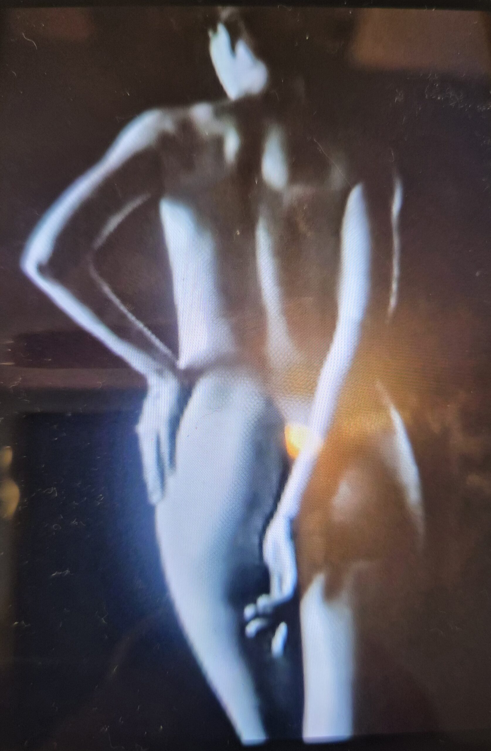 Lípa Valli